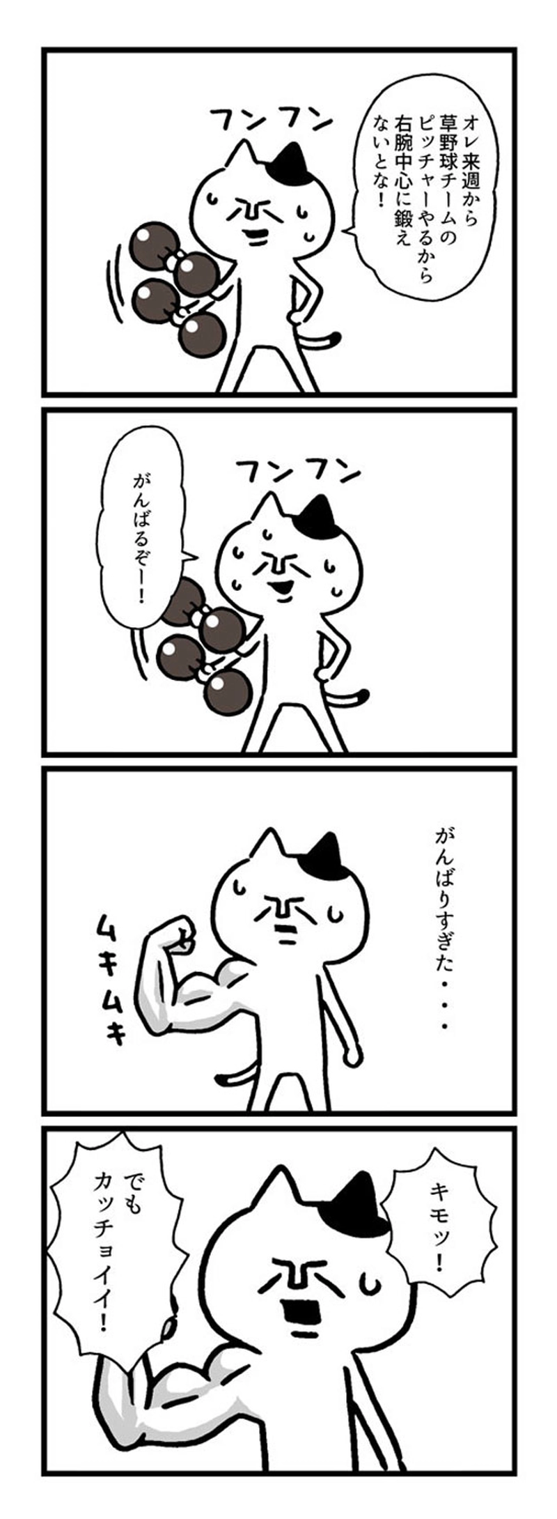 ニヒルモン　マッチョ