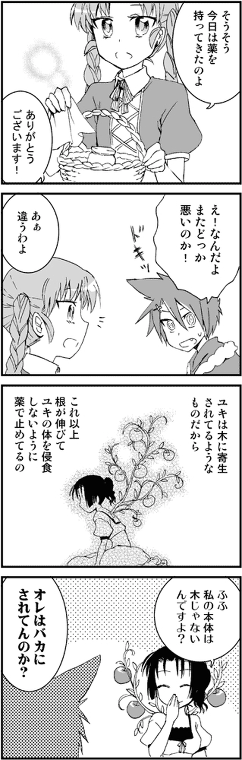 魔法使いの日々