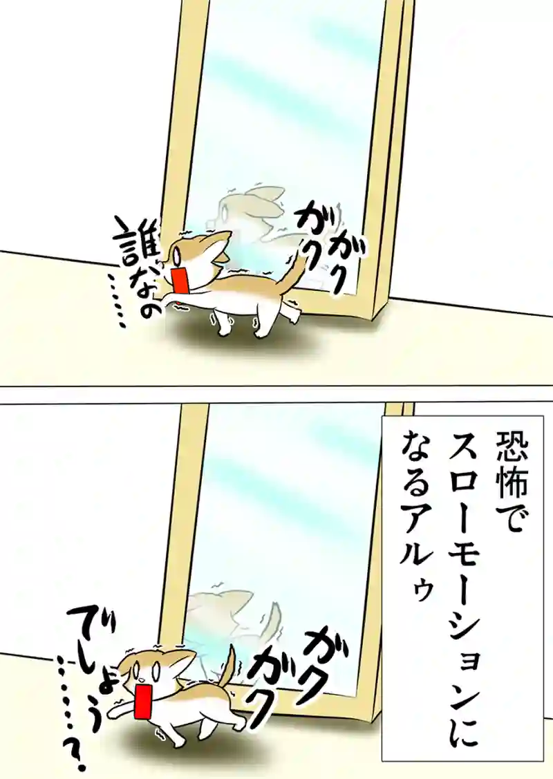 ミーのおもちゃ箱　第927話～第932話