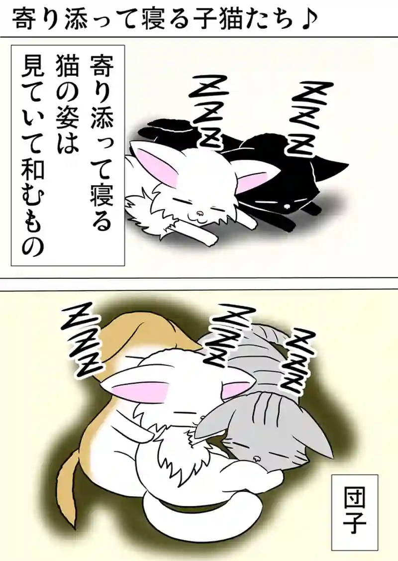 ミーのおもちゃ箱　第969話～第974話