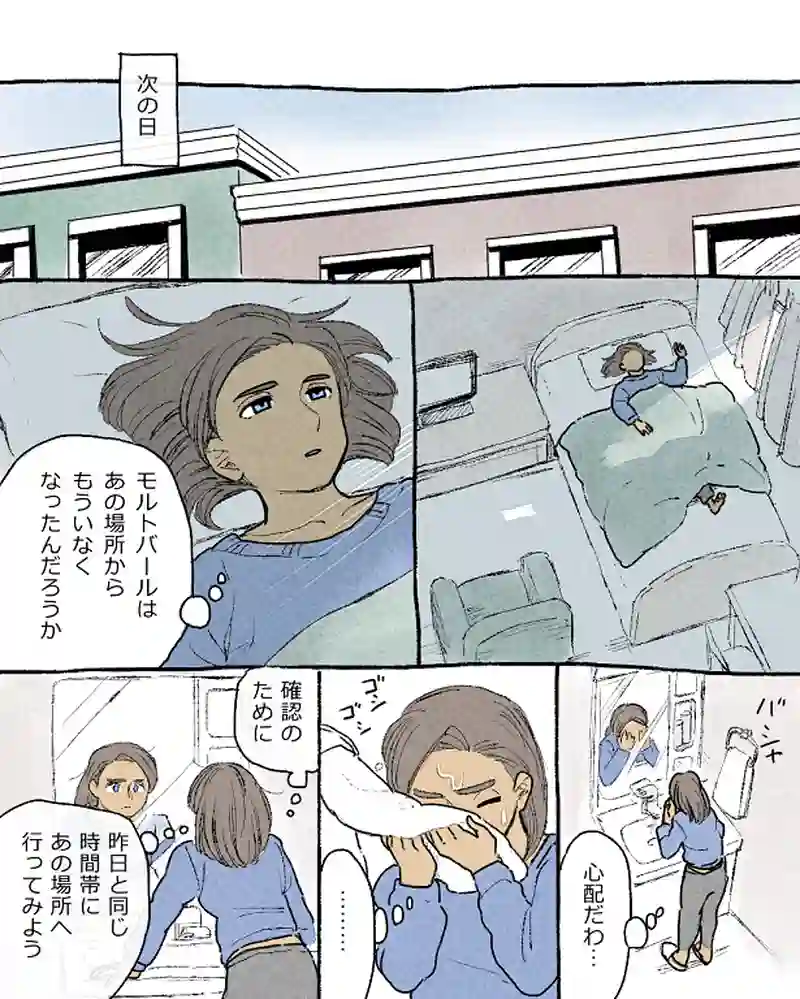 モルトバール１２後半