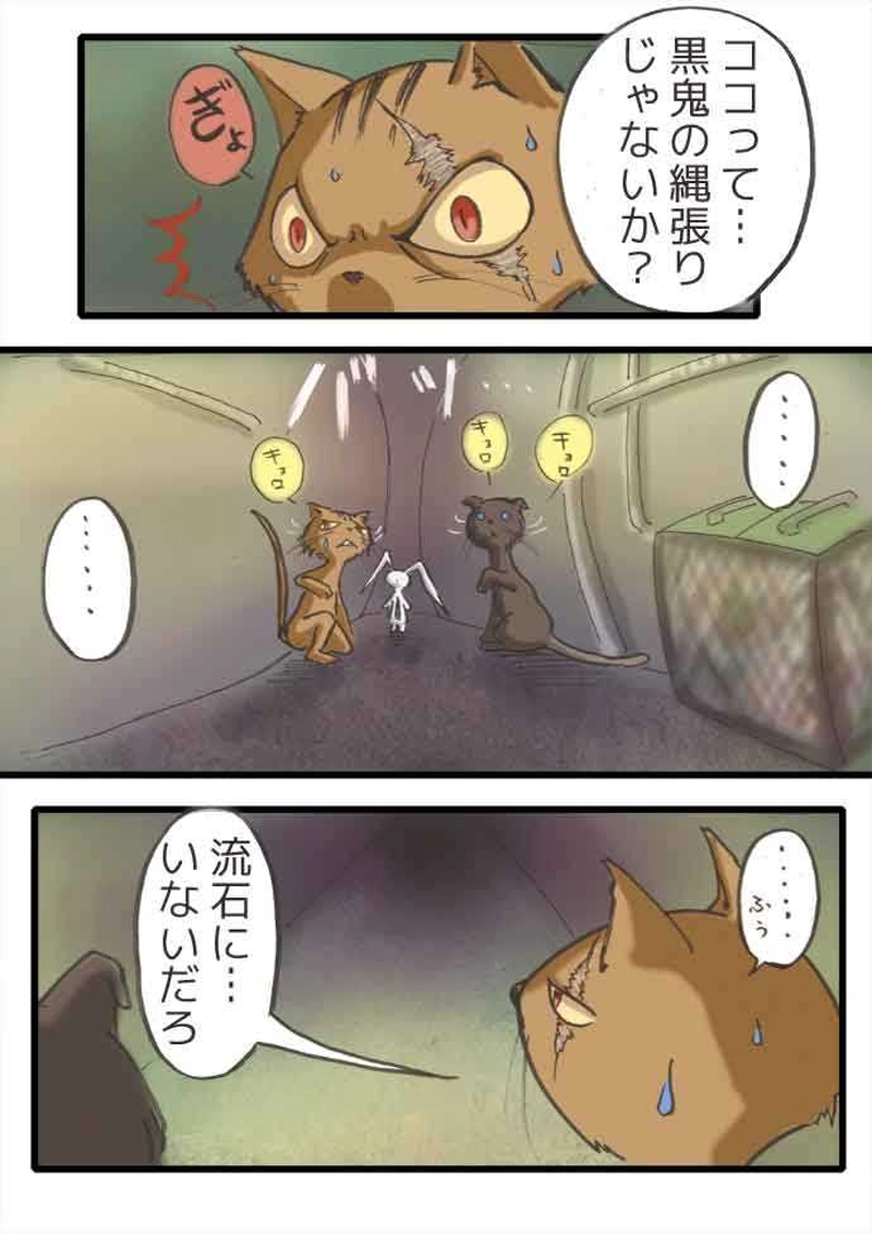 腹黒ウサギと腹白ネコ（前編）