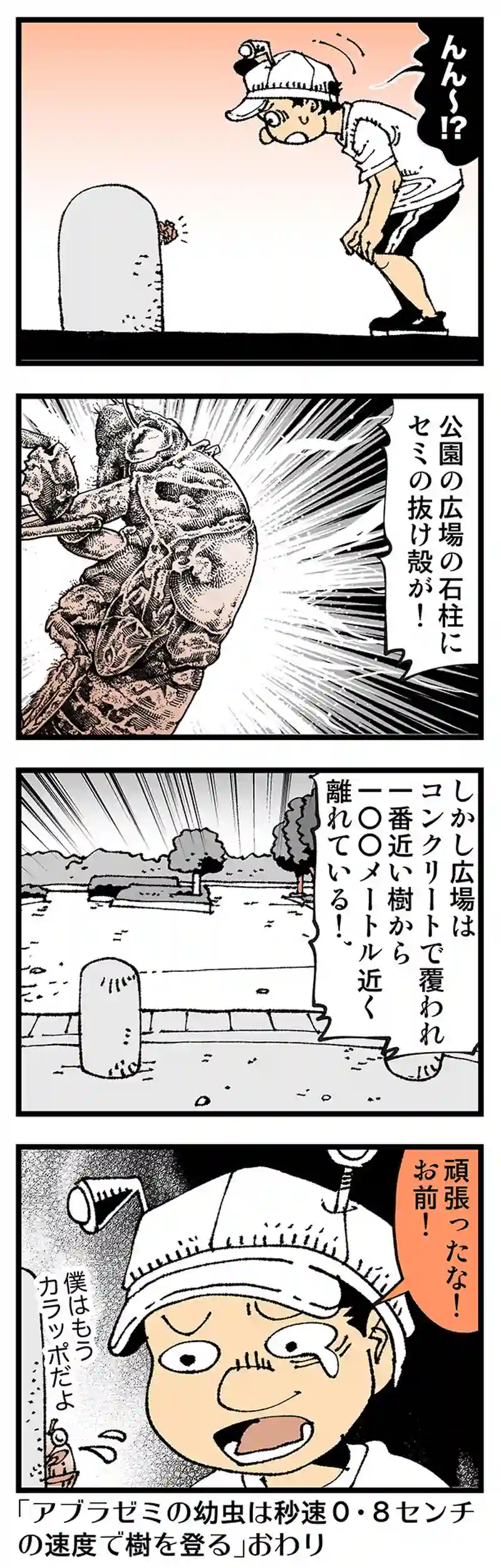 【普通】僕の感情移入する対象