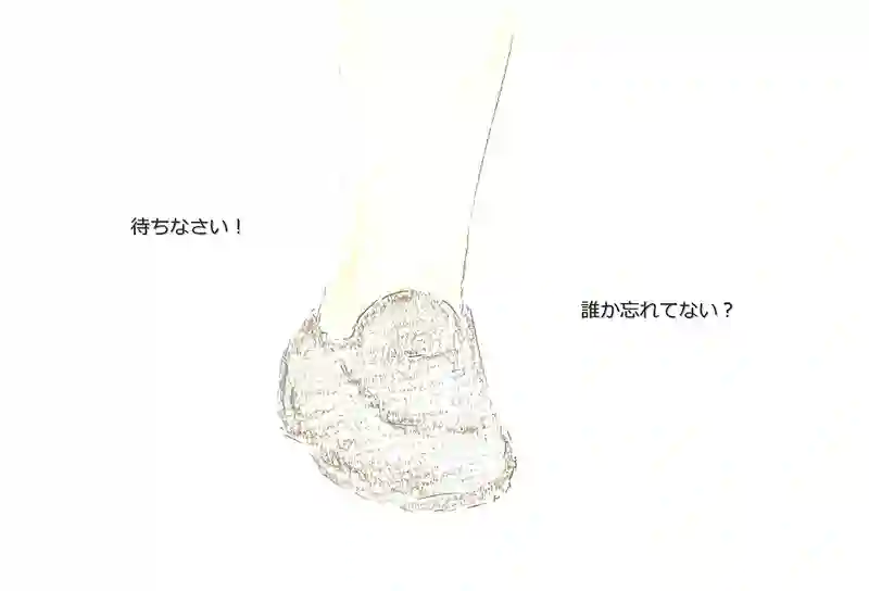 LAP.336 第二次口頭試問