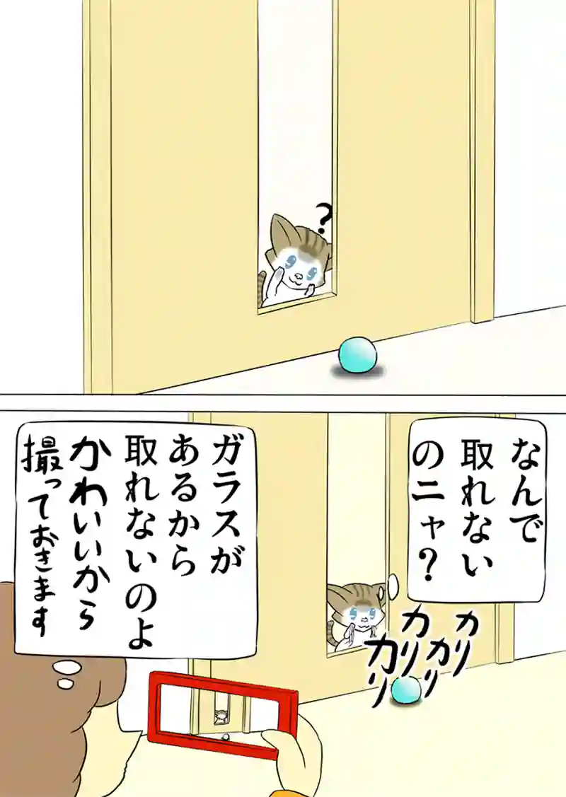 ミーのおもちゃ箱 第1077話～第1082話