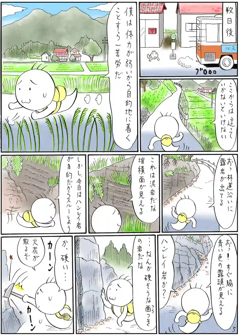 古生層 ハンレイ岩