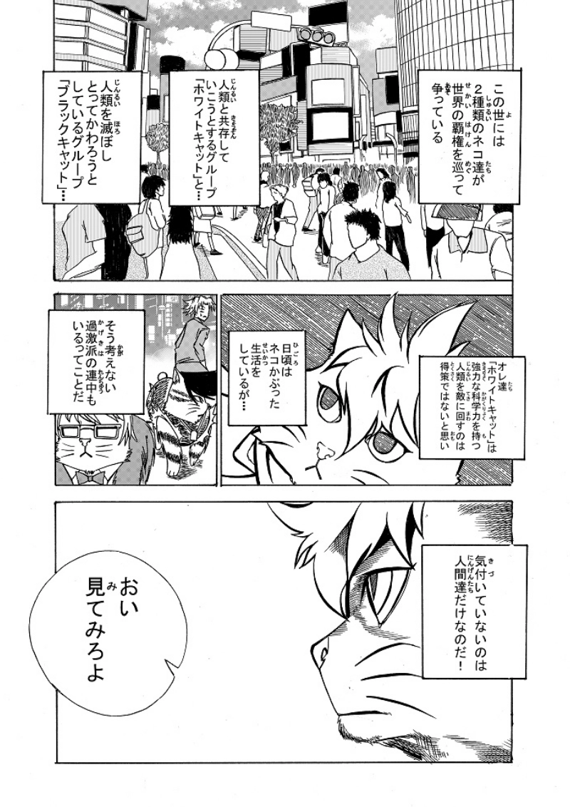 シュレディンガーの猫