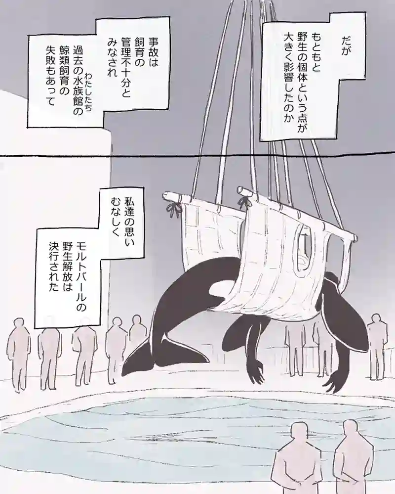 モルトバール１２前半