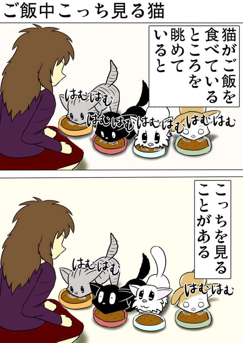 ミーのおもちゃ箱 第1306話～第1311話