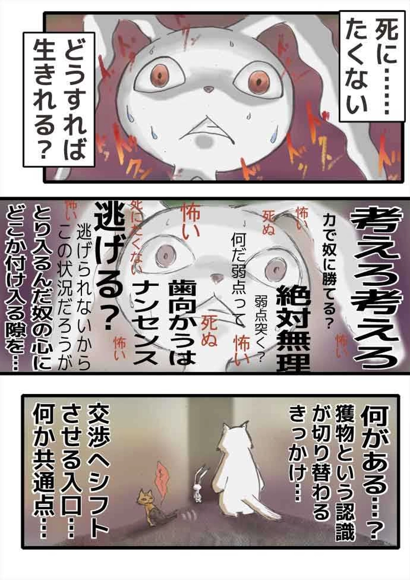腹黒ウサギと腹白ネコ（前編）