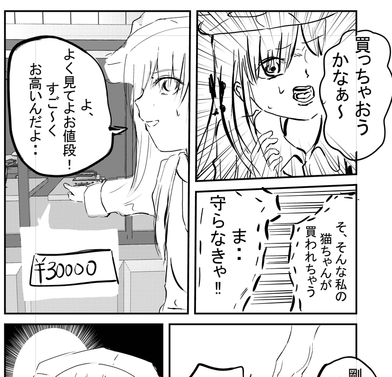 フロントウィングの猫