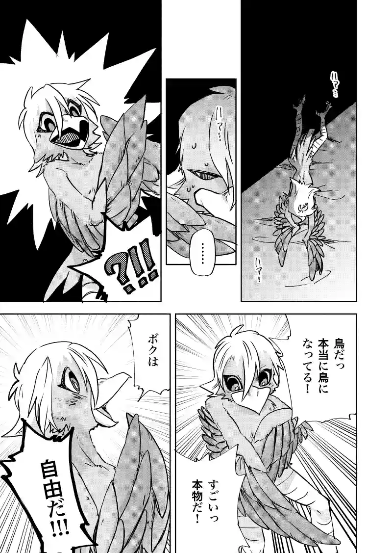 ケージ