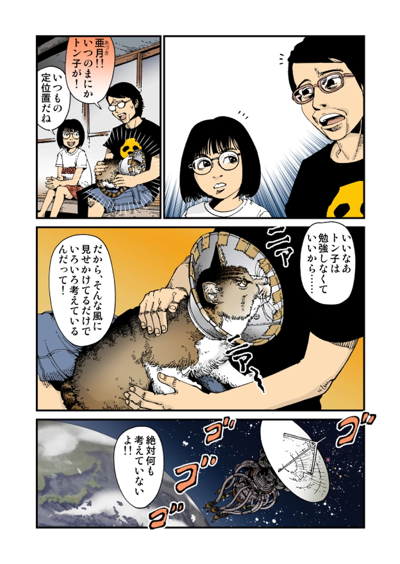 【StoF】Parabola Antenna Cat