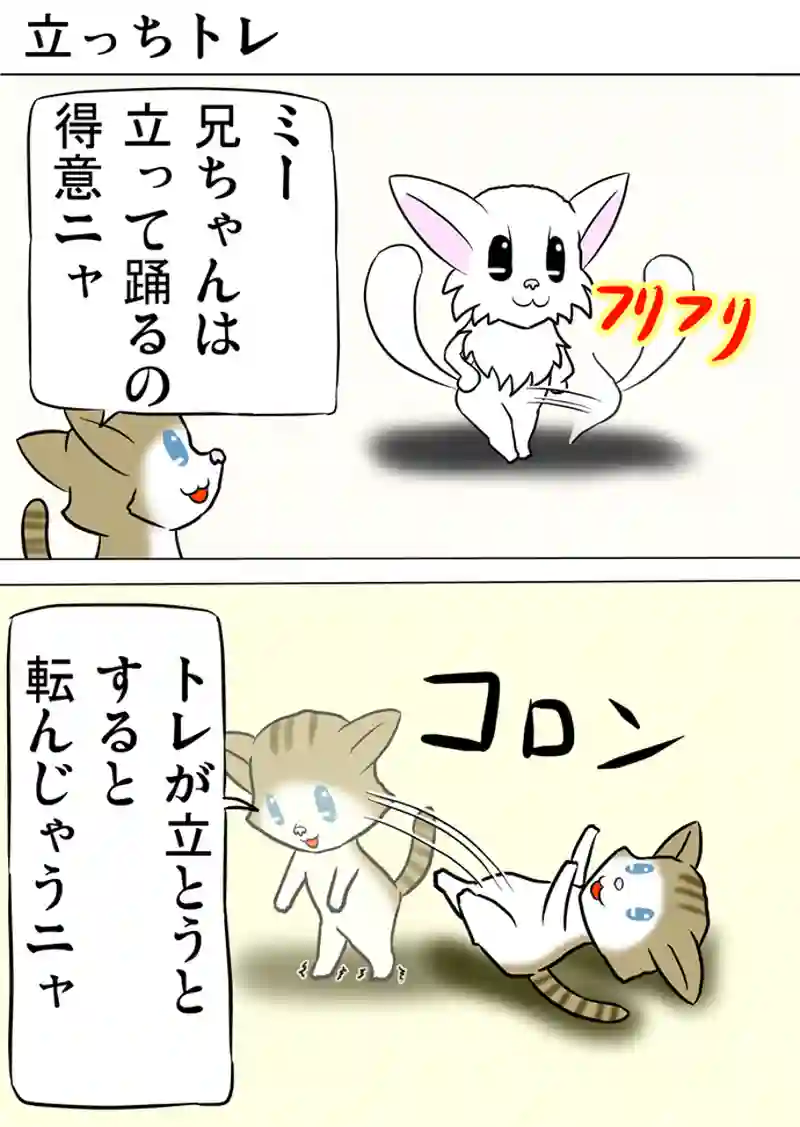 ミーのおもちゃ箱　第939話～第944話