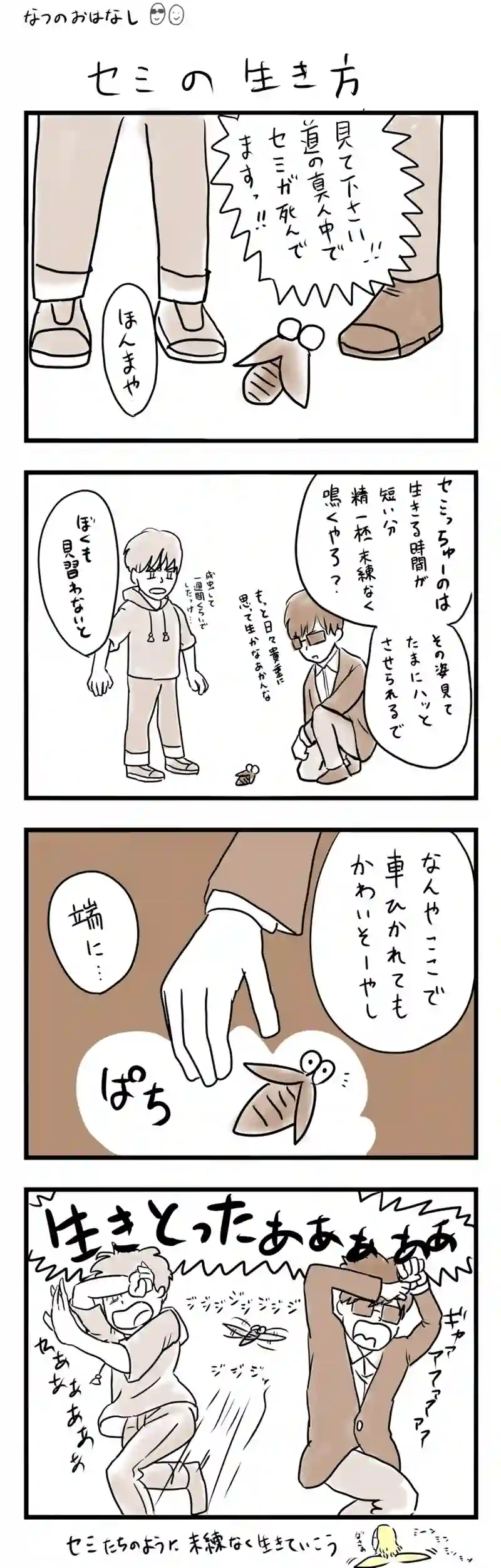 セミの生き方