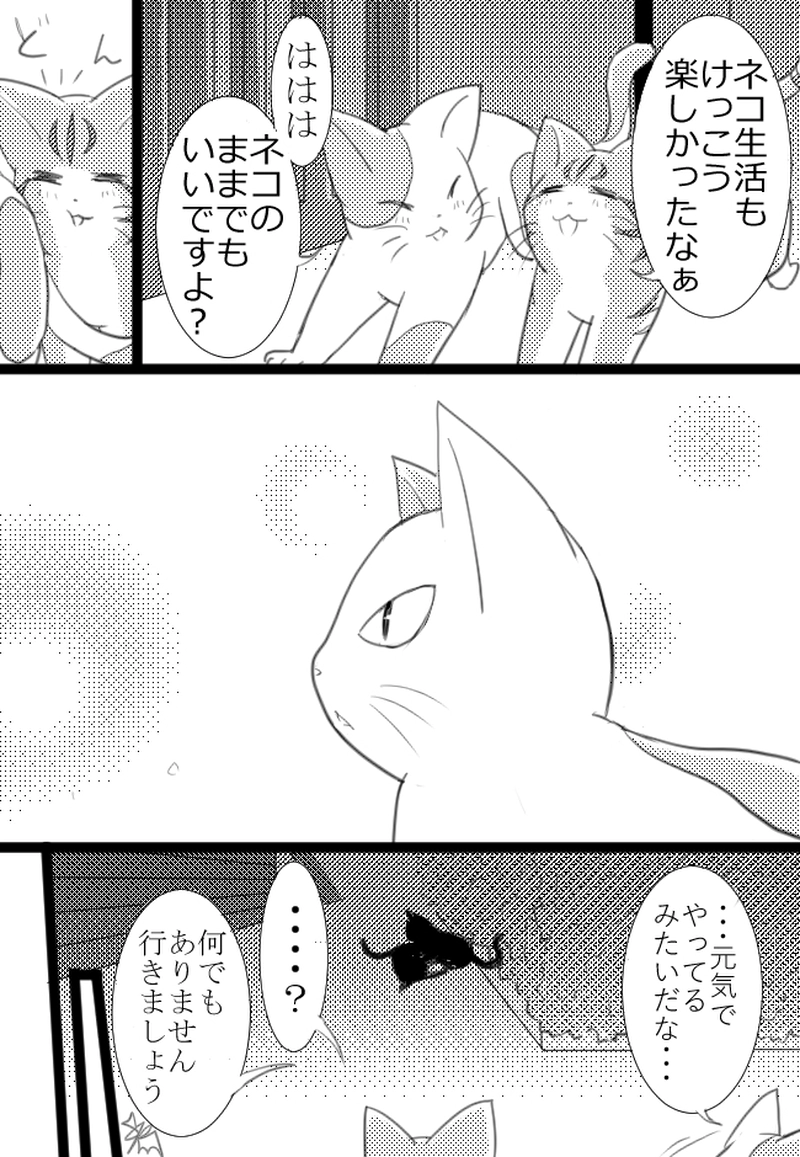 3匹目「キャッツアンドユニバース」