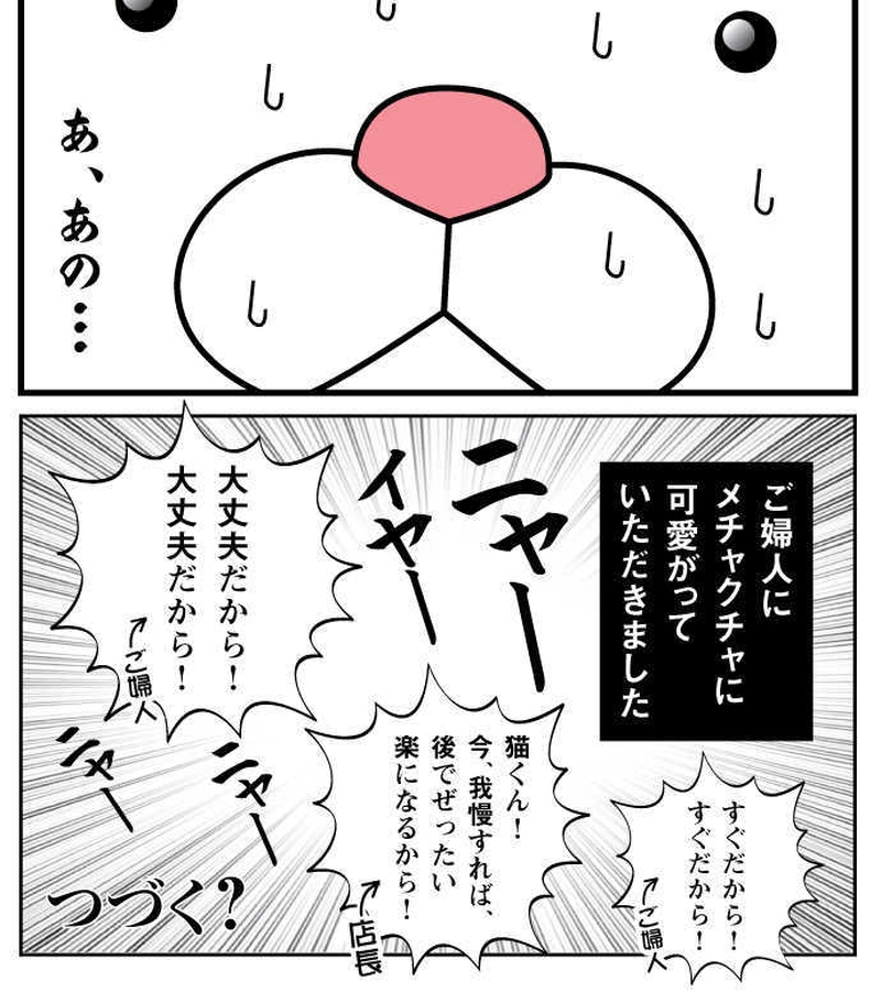 第三話 猫カフェ