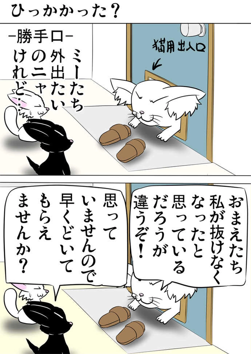 ミーのおもちゃ箱３１１話