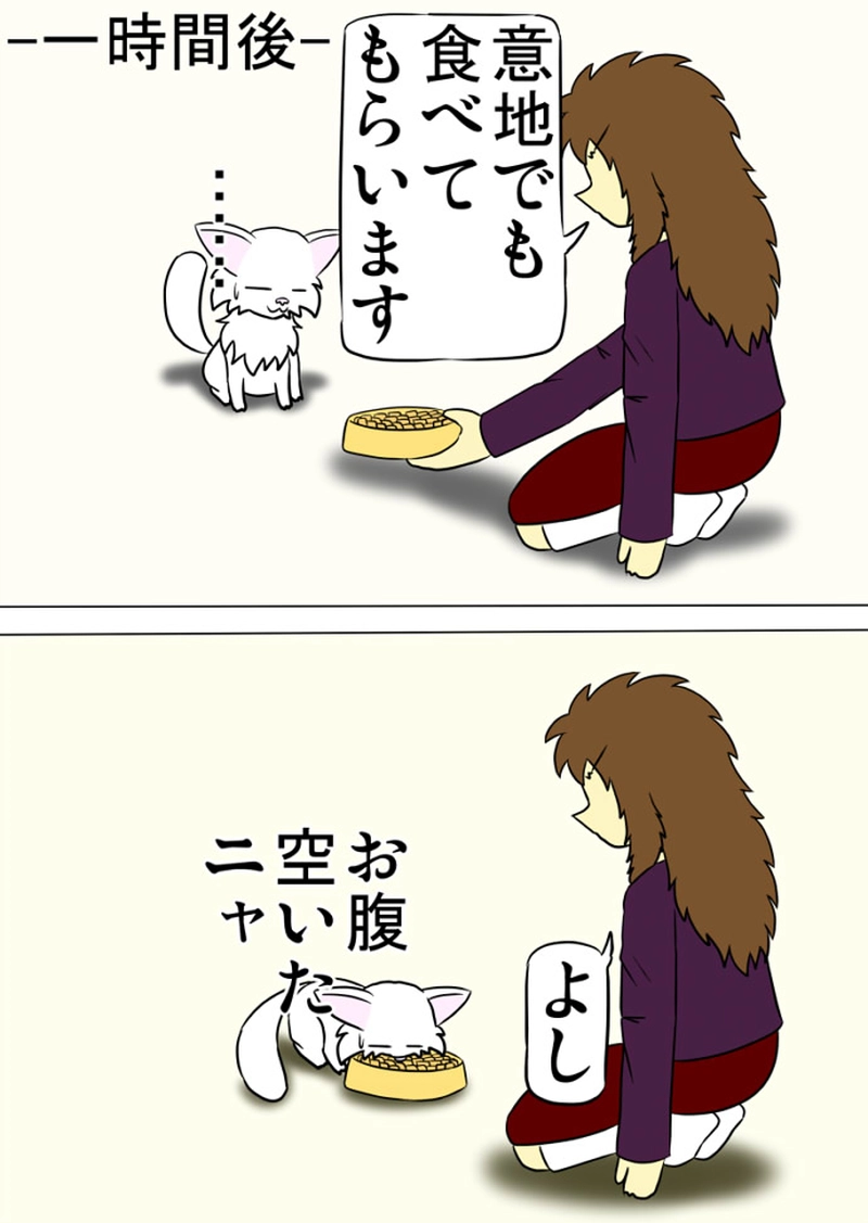 ミーのおもちゃ箱 第1359話～第1364話