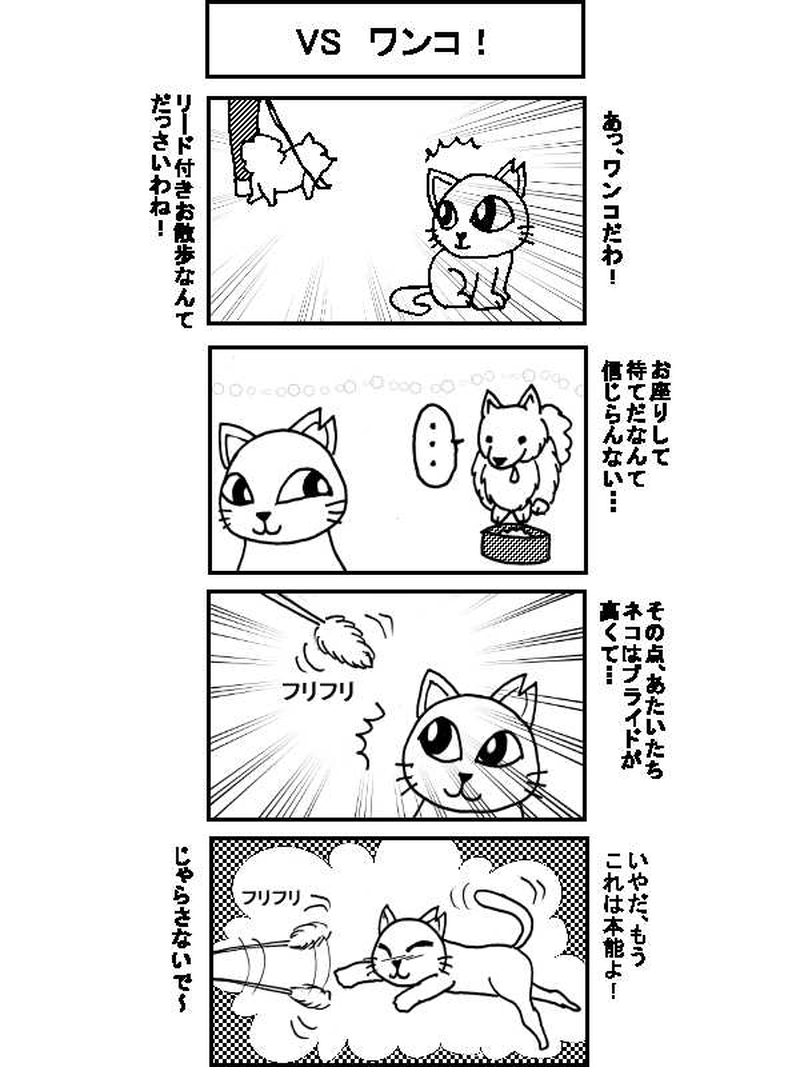 〇〇猫のなかまたち～サクラカットネコの日々　その５