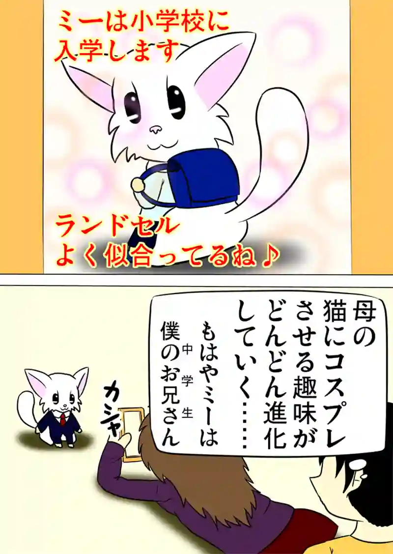 ミーのおもちゃ箱　第987話～第992話