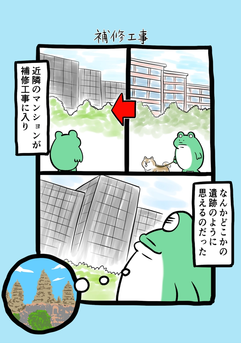 急に来てすぐカエル(302)