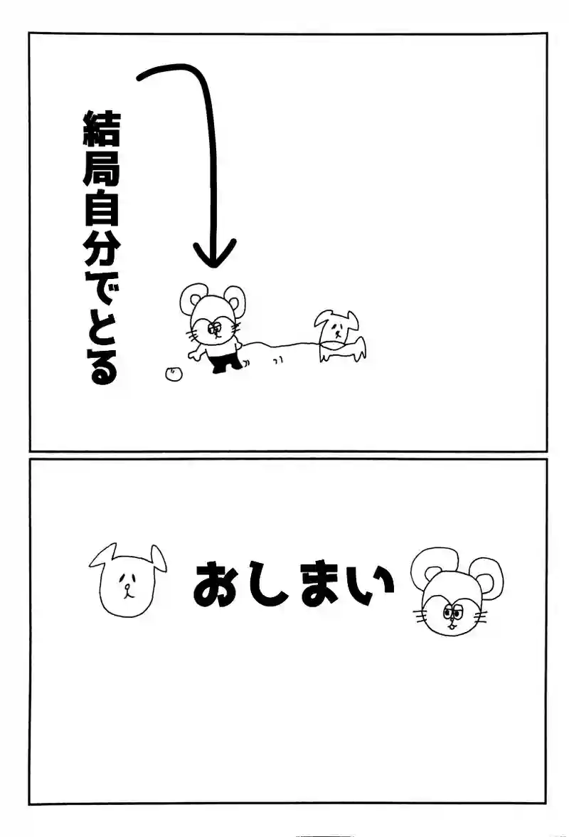 犬と遊ぼう