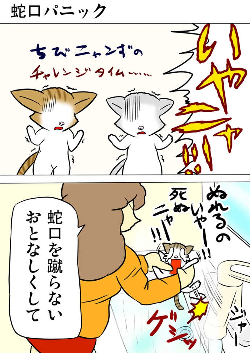 ミーのおもちゃ箱５０４話