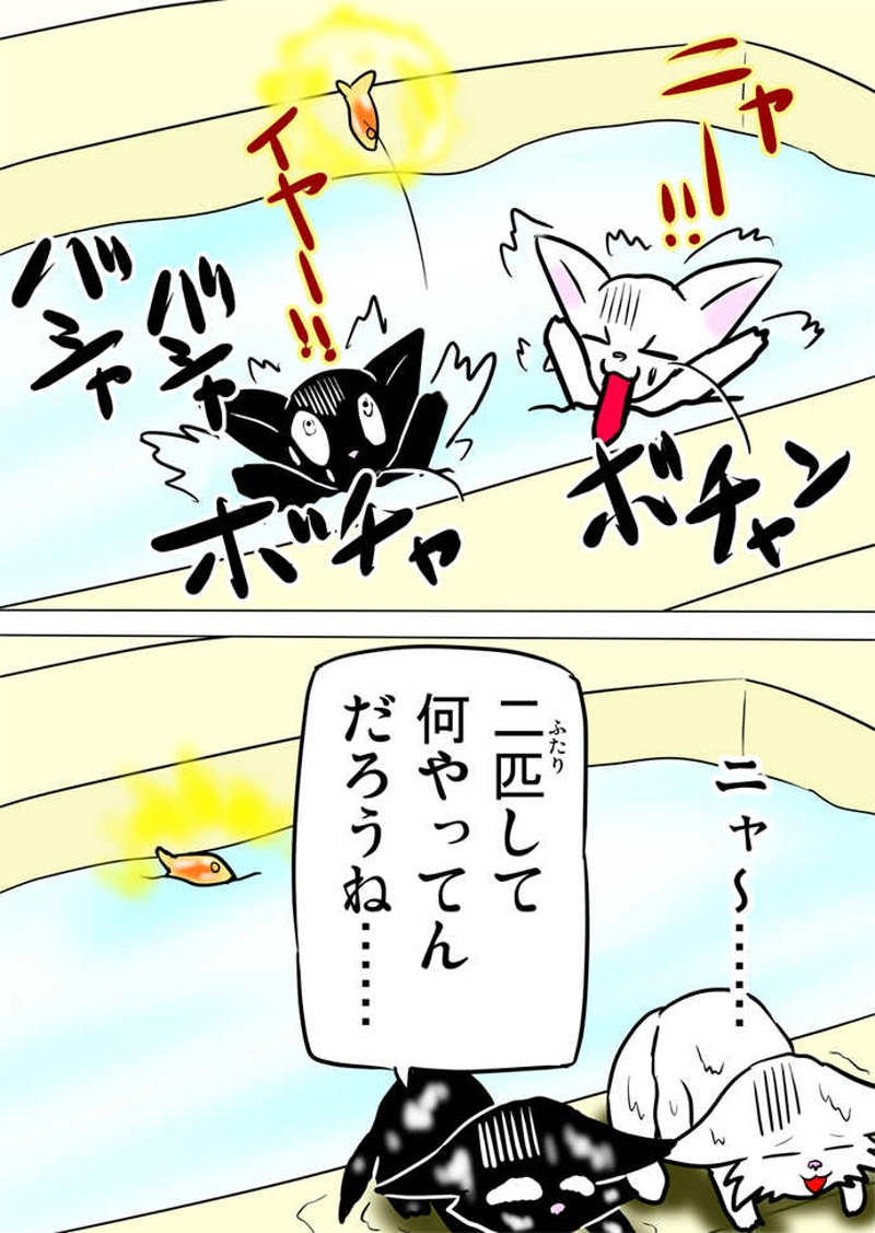 ミーのおもちゃ箱566話～第571話