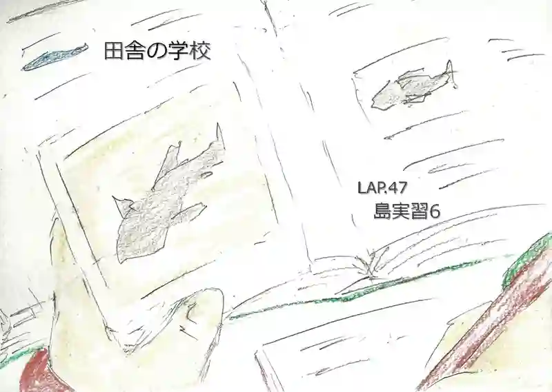LAP.47 島実習6