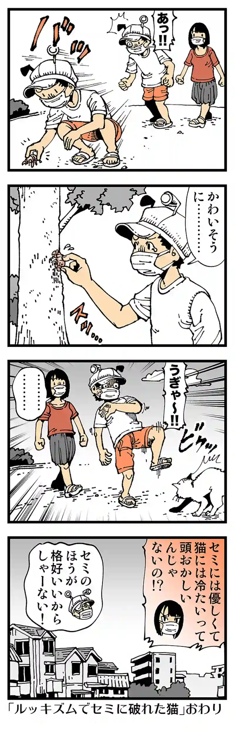 【普通】セミはかっこいい