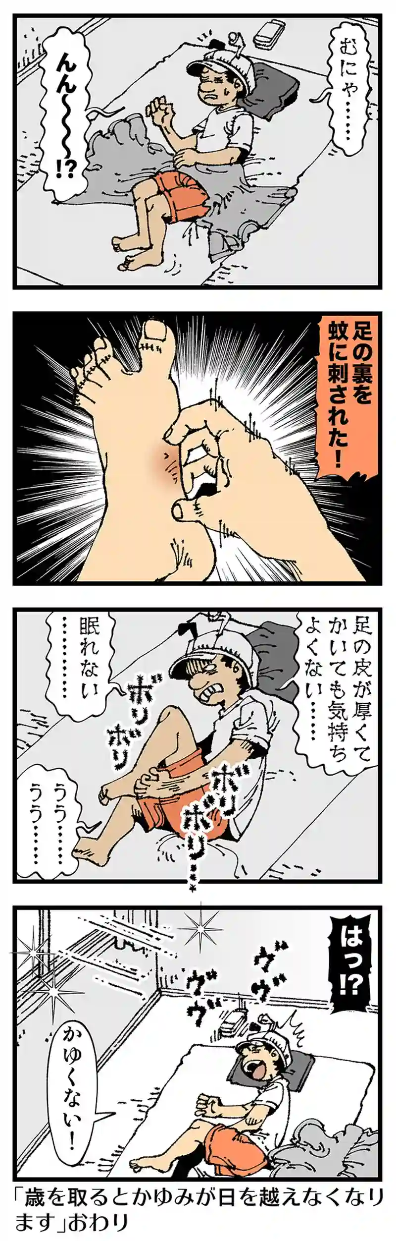 【普通】か！