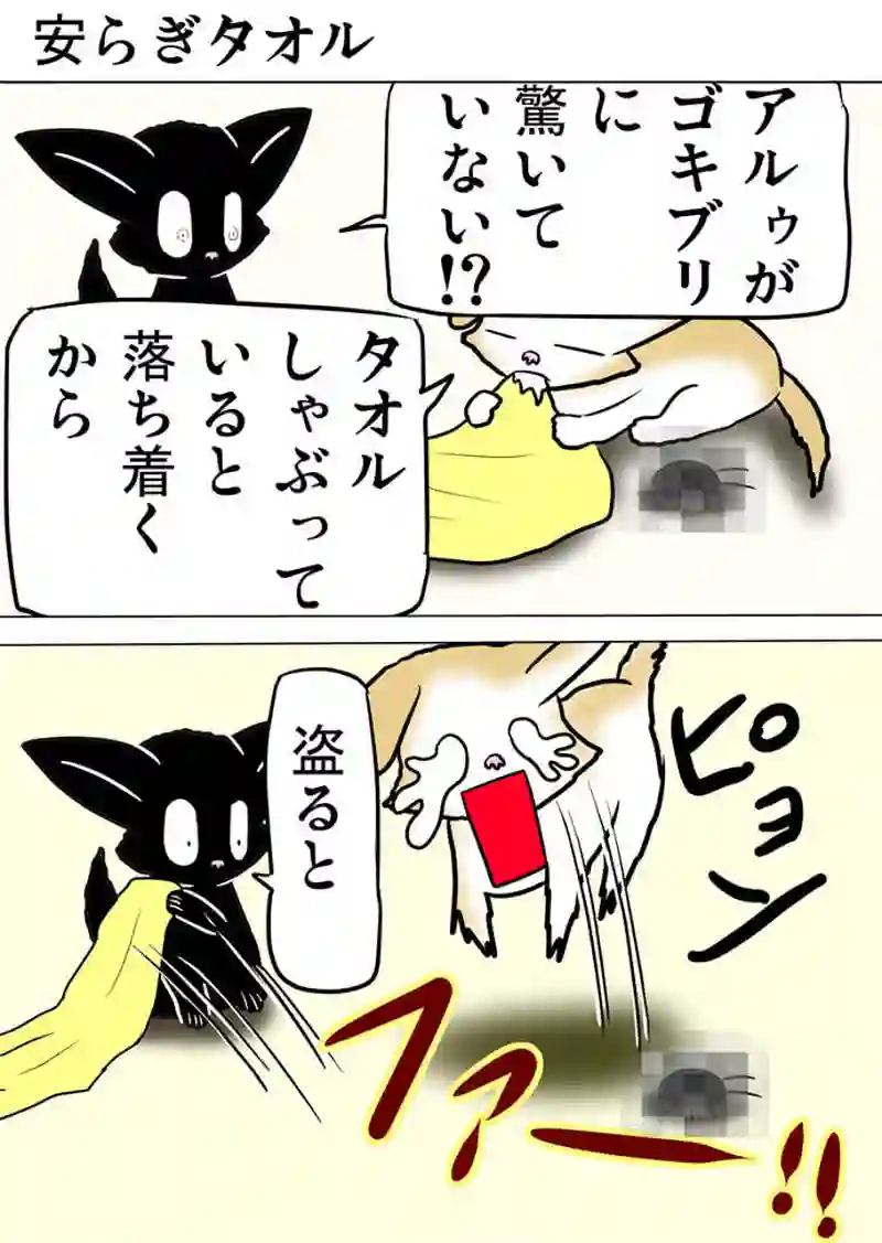 ミーのおもちゃ箱４９１話