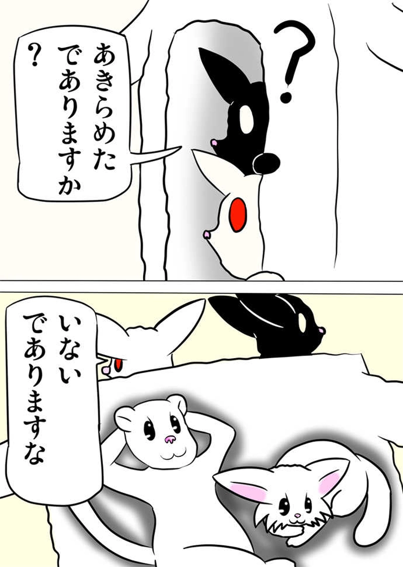 ミーのおもちゃ箱４４７話