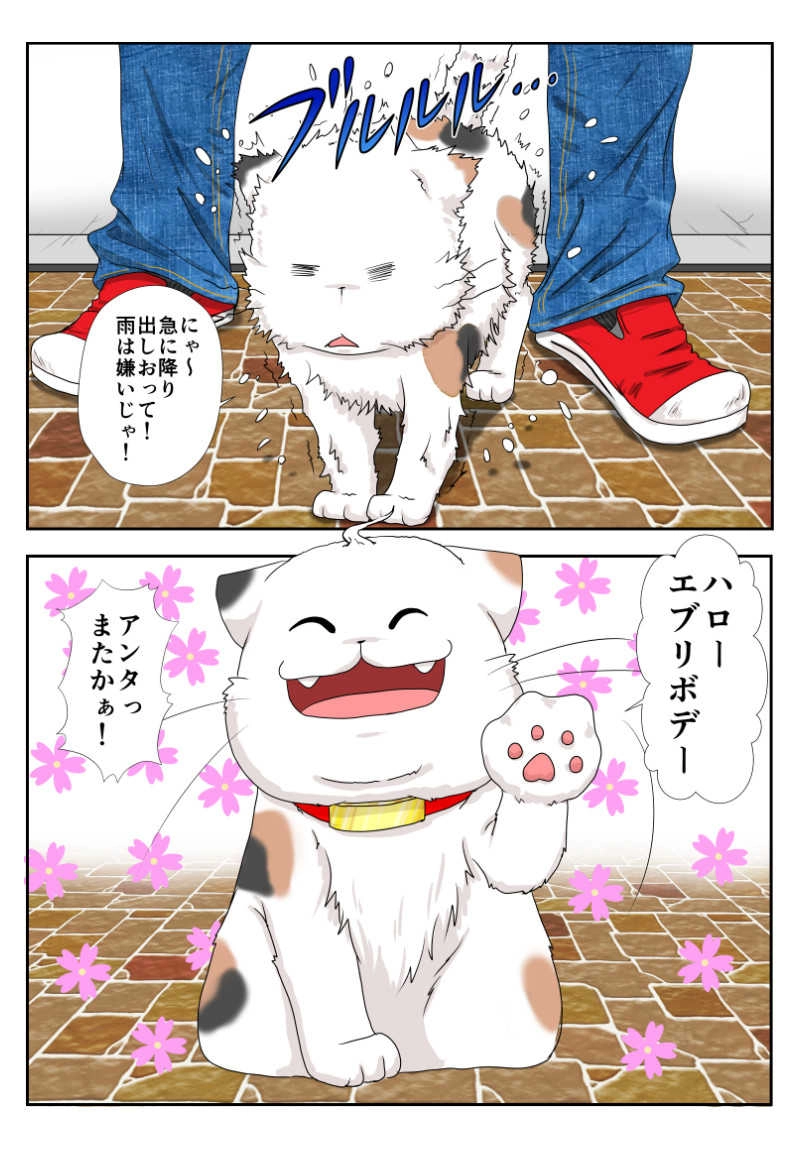 ６話　猫以上猫又未満
