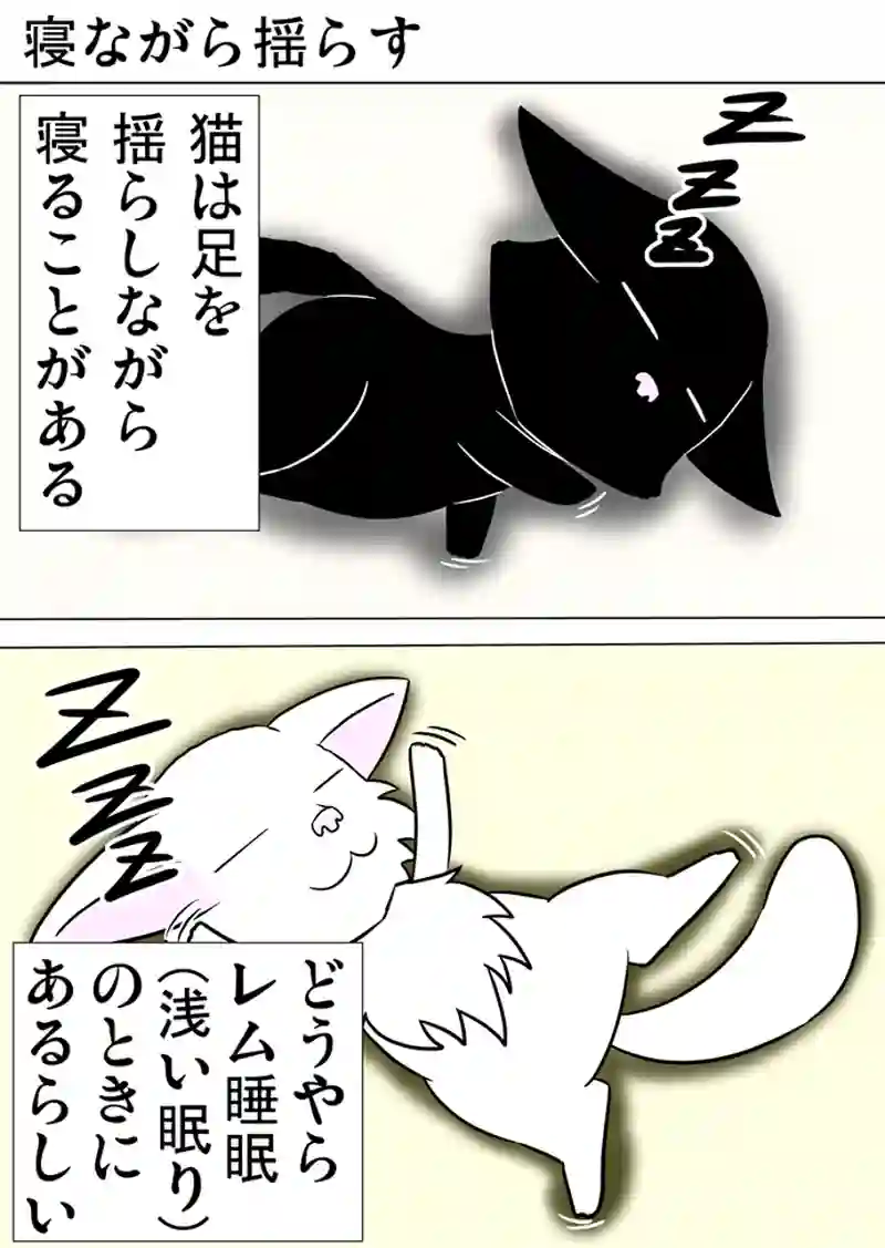 ミーのおもちゃ箱 第1059話～第1064話