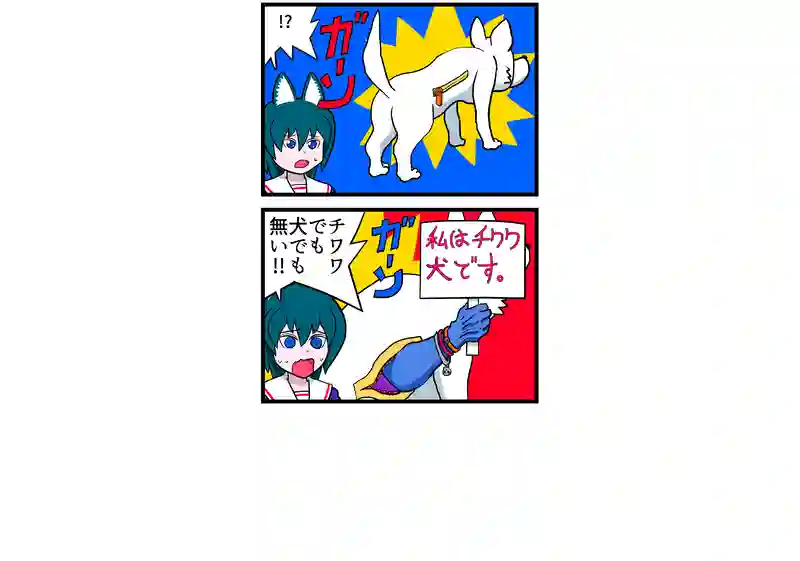チワワ