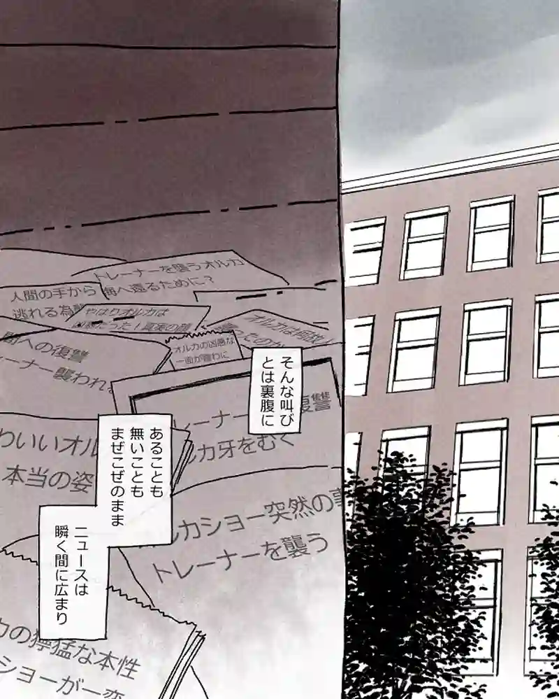 モルトバール１２前半