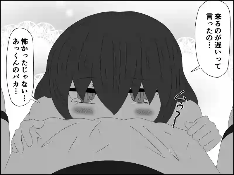 ４６話：決意の呼び出し