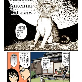 Parabola Antenna Cat -Part 2-
