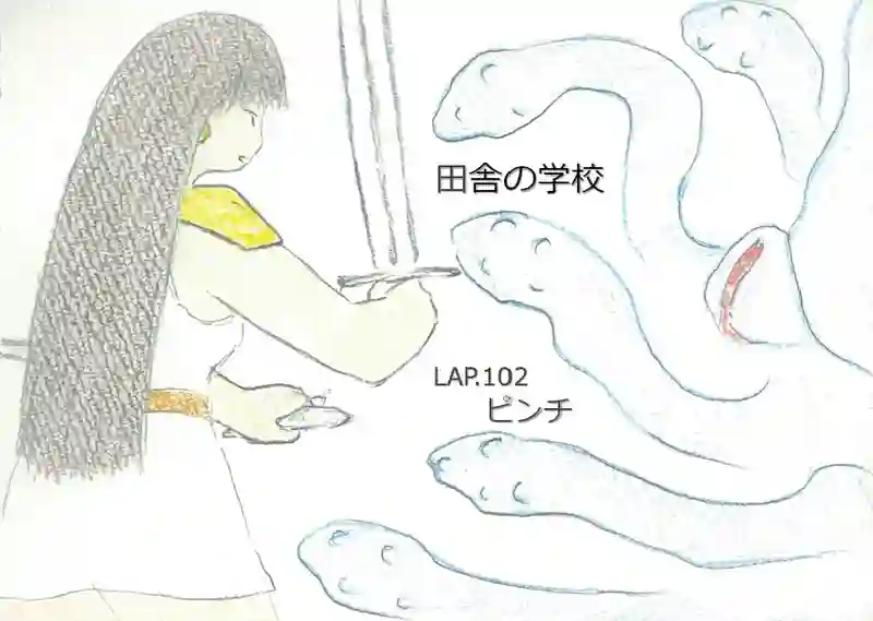 LAP.102 ピンチ