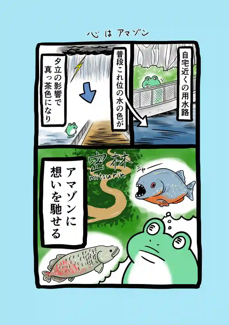 急に来てすぐカエル(213)