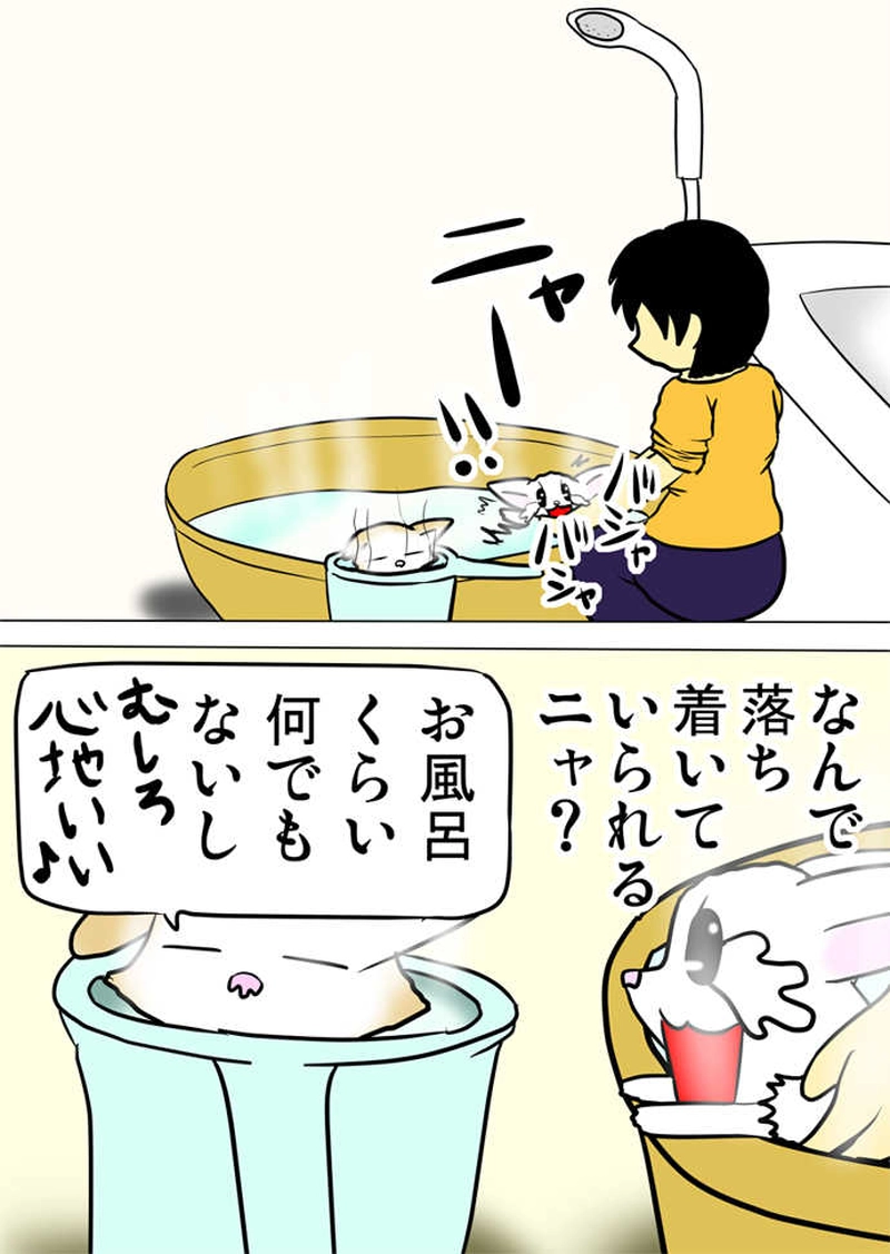 ミーのおもちゃ箱566話～第571話