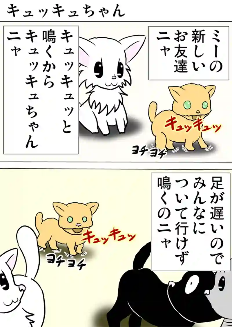 ミーのおもちゃ箱　第933話～第938話