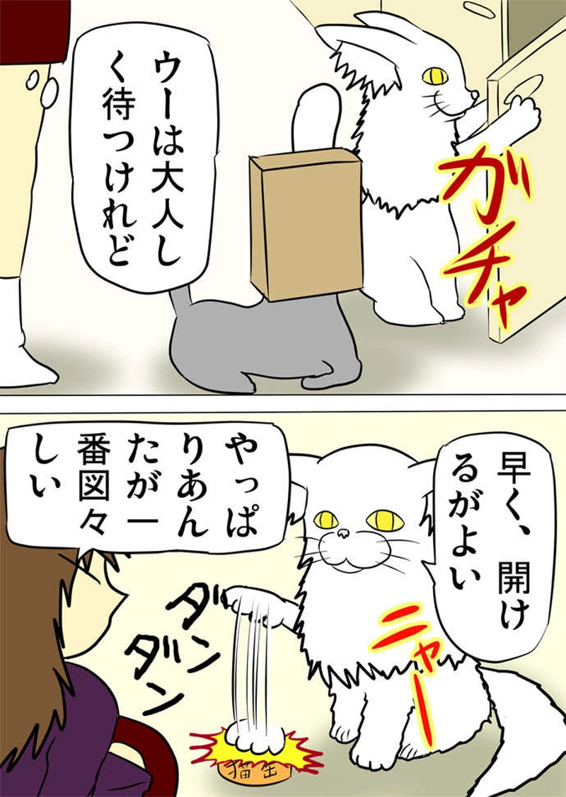ミーのおもちゃ箱１９３話