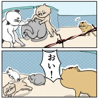 半分の痛み