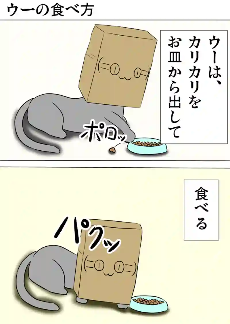 ミーのおもちゃ箱　第981話～第986話