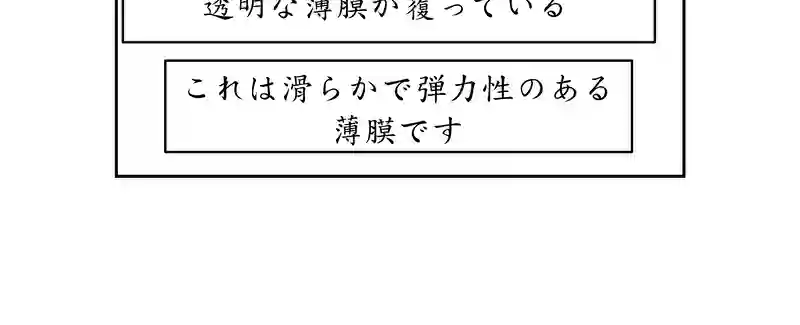 第三話、4300キロに及ぶ文化(1)