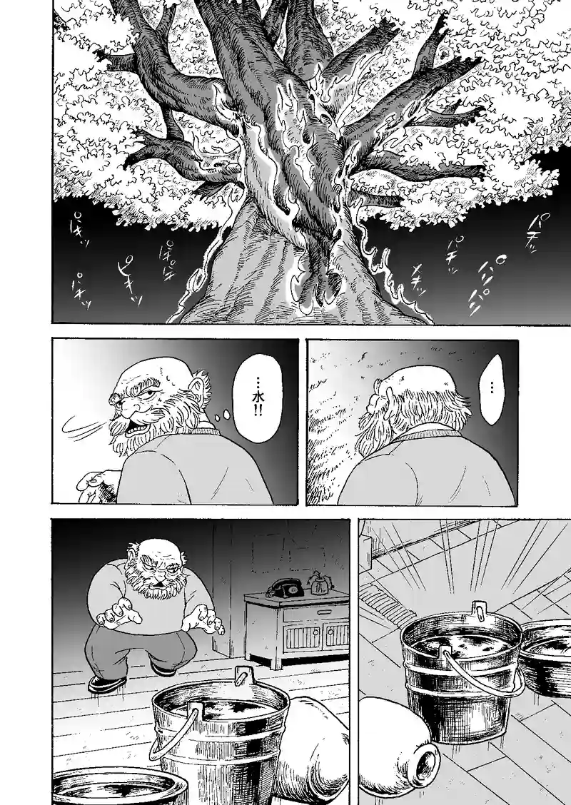 桜が咲く頃に