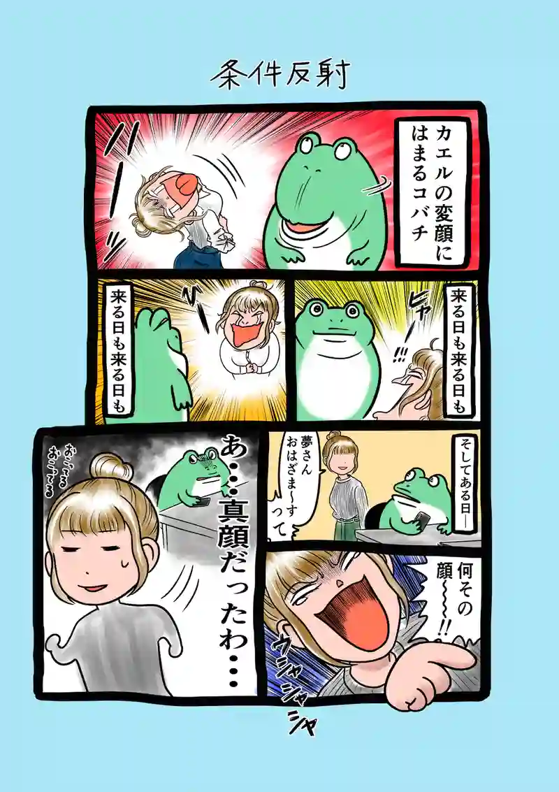 急に来てすぐカエル(157)